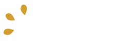 Cezame Connexions